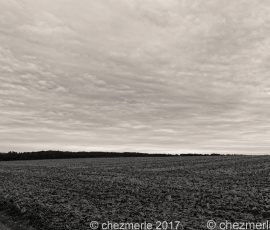 DSC_1537_DxO